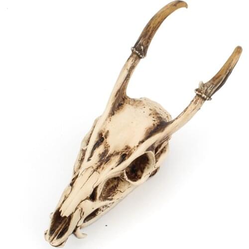 Wild Goat Skeleton Head Figurine Sculpture Teaching Animal Horn Sheep Statue Craft Home Decor Ibex Skull Desktop Ornaments