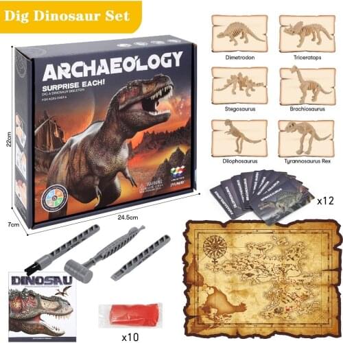 Пособия по биологии Haifeng China At AliExpress