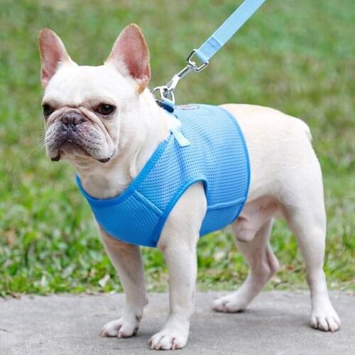 1PC Dog HarnessTraction Dog Vest Patch Outdoor Breathable Adjustable Pet Harness Walking Dog Supplies Product
