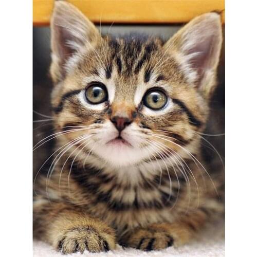 Animal Cat DIY Cross Stitch Embroidery 11CT Kits Craft Needlework Set Cotton Thread Printed Canvas Home Decoration Sale