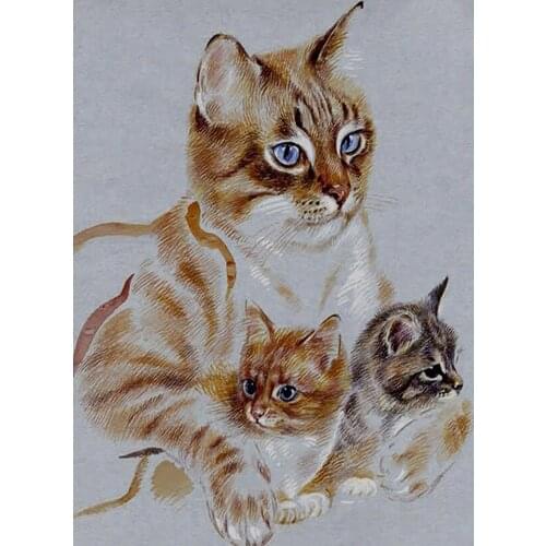 Handwork Full Square/Round 5D DIY Diamond Painting Cat 3D Embroidery Mosaic Rhinestones Art Stickers Room Decor Pictures DF480