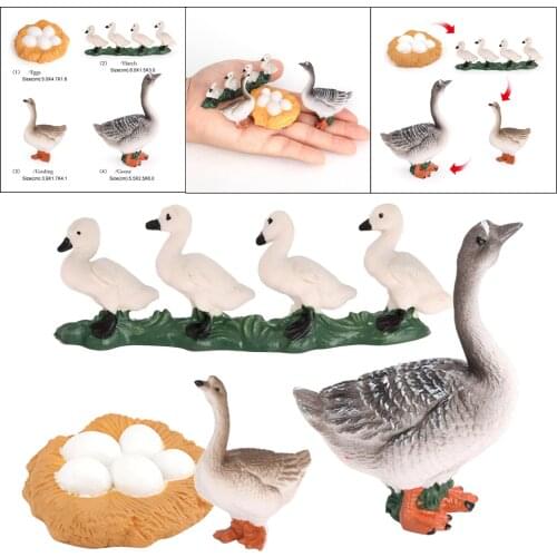Growth Cycle Model Toys Life Cycle of Goose Animal Figure Model Education Toys