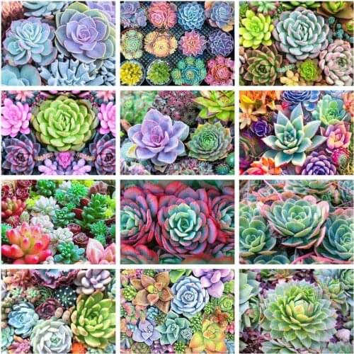 ZOOYA Full Square Round Drill Diamond Embroidery Succulent Flower Diamond Painting Plant Rhinestone Mosaic Pictures Home Decor