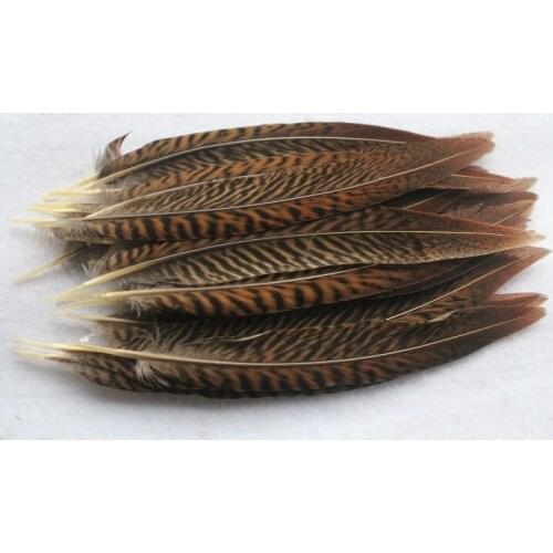 Hot sales Perfect 50pcs Natural 8-10 inches/20-25cm Golden Pheasant Tail Feathers for home /carnival/wedding decoration