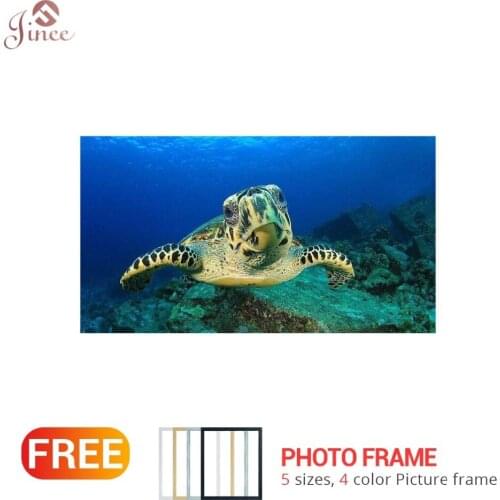 Animal diamond painting full 5d diy diamond painting turtle hawaii style diamond embroidery under sea ocean wall room decor