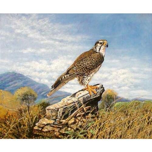 Artist perfect artistic female oil painting portrait art on canvas Golden eagle looking for prey food 100% hand-painted