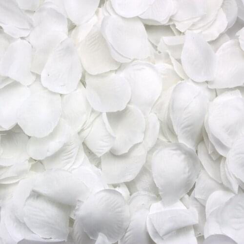 Quality 500 Rose petals scattered white decoration Wedding Party