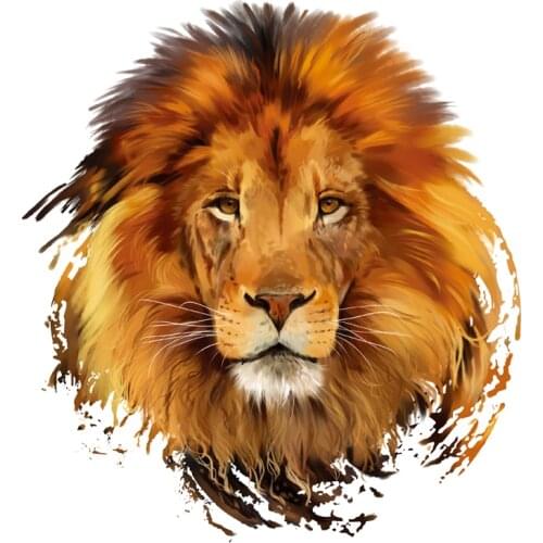 New Lion King Patches, Eco-Friendly Washable Patches, User Friendly Stickers, Custom Made, Heat Press Appliques