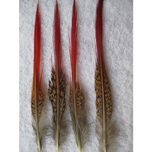 Diy handmade decorative hat performing props sword red golden pheasant pheasant feathers wholesale 25-30 cm