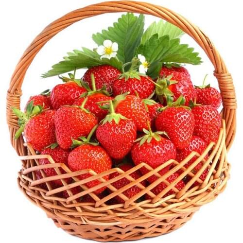 5D DIY Diamond Embroidery Sale Diamond Painting Fruit strawberry Full Drill Round/Square Picture Of Rhinestone Diamond Mosaic