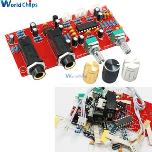 DIY PT2399 Digital Microphone Amplifier Board Karaoke Plate Reverb Preamplifier Reverberator Suite Components NE5532 DC 12V-24V