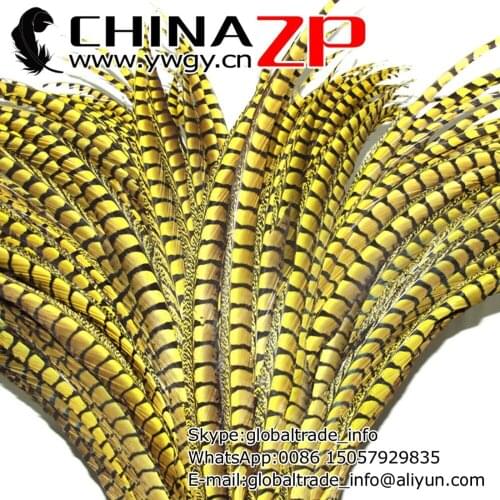 CHINAZP Factory Cheap Wholesale 50pcs/lot 90-100cm (36-40inch) Length Unique Dyed Yellow Lady Amherst Pheasant Tail Feathers