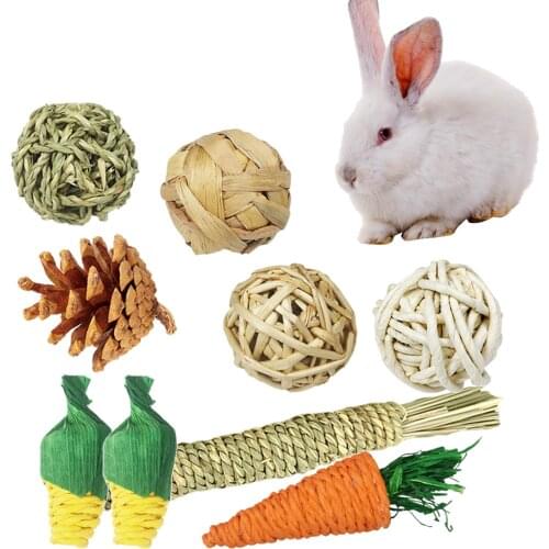 Hamster Chew Toys Set of 9pcs Toys Accessories Teeth Care Molar Toys for Guinea Pigs Rats Chinchillas Gerbils Hamster