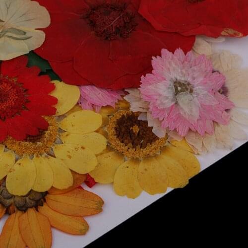Multiple Dried Pressed Flowers DIY Phone Decor, Resin Jewelry Making