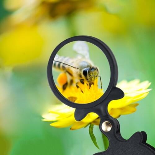 10X Portable Magnifier Folding Reading Magnifying Glass Jewellery Tool