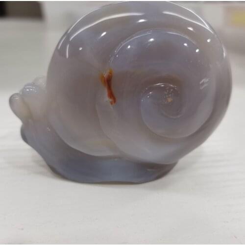 Snail Natural Druzy Agate Amethyst Voog Quartz Crystal Cluster Healing Stones Specimen Home Crafts Decoration Gift Geode