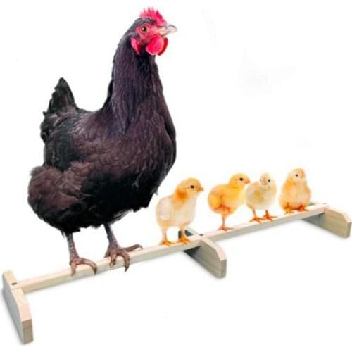 Hen Standing Frame Balancing Non-slip Wood Stable Parrot Perch Shelf for Chicken