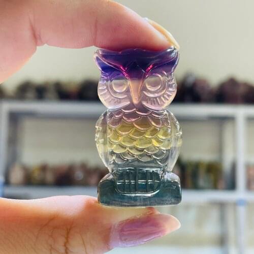 Hand Carved Rainbow Fluorite Owl Natural Crystal Skull Healing Statue