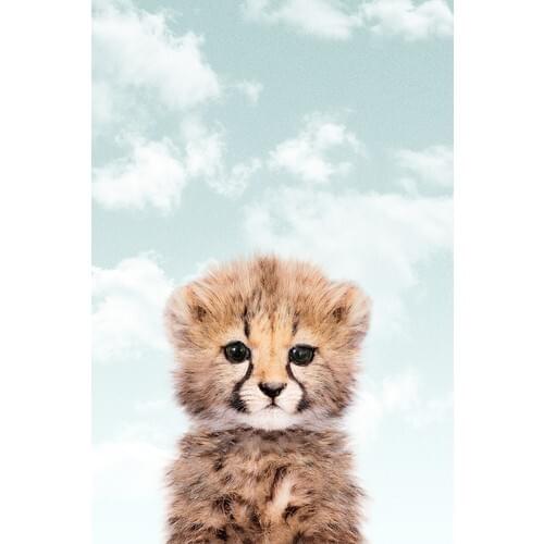 Tamtam Store Little Cheetah for Children Matte Photo Paper Blue Background 30x40 cm