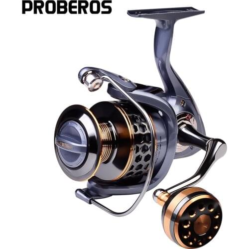 1PC Fishing Reel 5.2:1 3BB DR2000-7000 Spinning Reel Aluminum Spool Max Drag 21KG Resistant Freshwater CNC Fishing Vessel Wheel