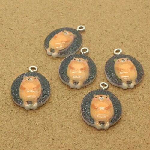 10pcs Kawaii Cartoon Hedgehog Earring Animal Charms Resin Flatback Lovely Necklace Keychains Pendant Accessory Diy Jewelry Make