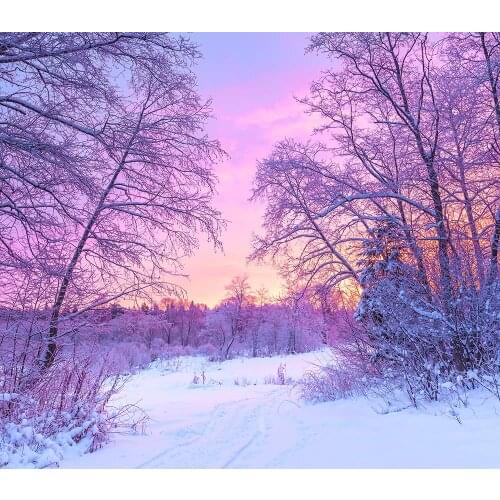 Christmas Backdrop Noel Kids Family Snowfield Purple Twilight Light Photo Backdrop Background Studio Photography Banners Poster