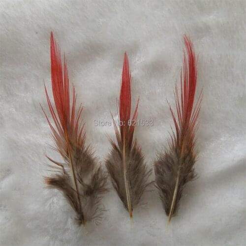 100Pcs/lot 5-9cm pheasant feathers,golden pheasant feathers, red tipped, striped feather, lot