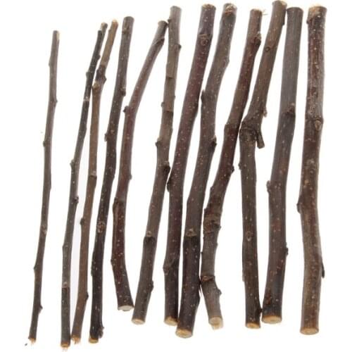 Natural Apple Tree Toy for Pet Hamsters Teeth Molar Wooden Chewing Toys