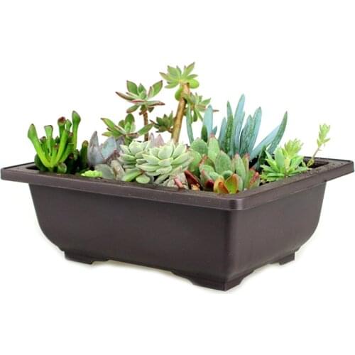 Planter Pot With Tray Plastic Succulents Pot Small Size Flowerpot Balcony Decorations Bonsai Nursery Pots Garden Supplies 35