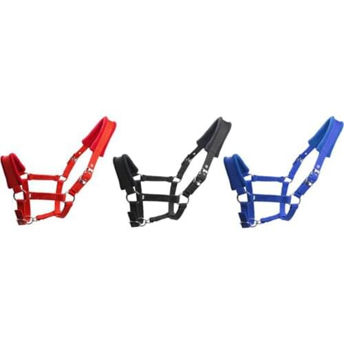 Padded Pony Cob Horse Halter Bridle Rein Equestrian Adjustable Head Collar Strap