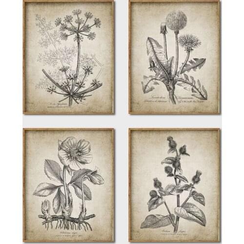 Antique Botanical Posters and Prints Rustic Farmhouse Wall Art Canvas Painting Plants Pictures for Living Room Home Wall Decor