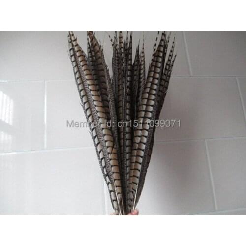 Wholesale natural pheasant tail feathers 50pcs 70-75 cm / 28-30 inches decoration celebration