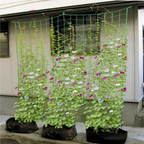 Garden Net Climbing Plant Plastic Support Mesh Clematis Pea Bean Trellis He