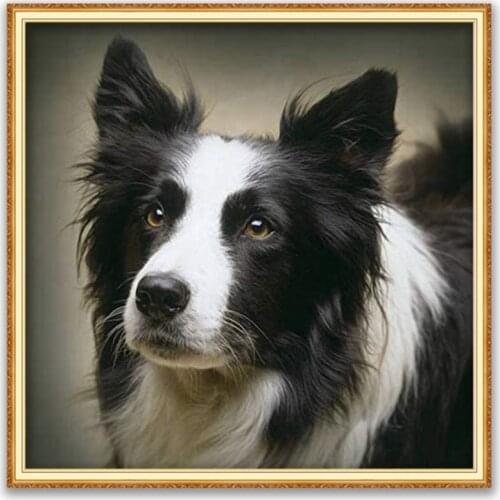 Animal Border Collie DIY Embroidery Cross Stitch 11CT Kits Needlework Craft Set Cotton Thread Printed Canvas Home Decoration