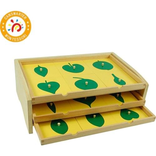 Baby Toy Montessori Material Botany Leaf Cabinet with Insets Early Childhood Preschool Kids Teaching Aids