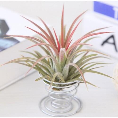 2018 Hot Sell Metal Spring Air Plant Holder Hanging Rack Stand Containers Flower Holder Balcony Decor Silver Air Spring Base