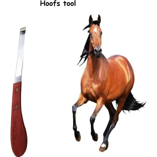 4pcs/set Hoof Loop Knives Horse Equestrian Supplies Repair Hoof Knife Equipment Tool Various Sizes