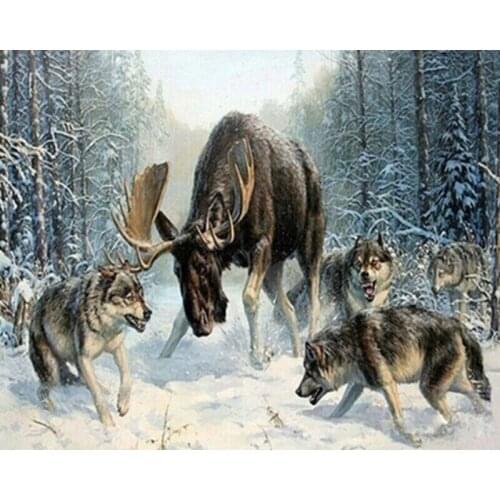 Paintings By Numbers Wolf and Deer Oil Picture HandPainted Color Animal Drawing Pictures By Number Frame Home Decortion ArtWork