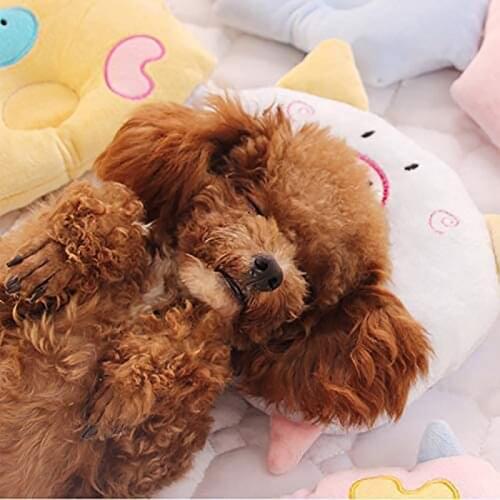 Pet Bed Pillow Sleeping Animal Cute Ideal Naptime Sleeping Companion Cartoon Plush Toy for Small Dogs and Cats Pet Accessories