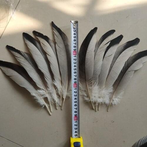 10 pieces of natural gray crane feathers 23-28 cm / 9-11 inches for stage performance decorative feathers