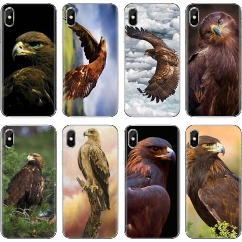 Golden Eagle SKY Fly Poster For Samsung Galaxy A10 A30 A40 A50 A60 A70 a12 a31 a41 a51 a71 a20e a21s M30 Silicone Case Housing