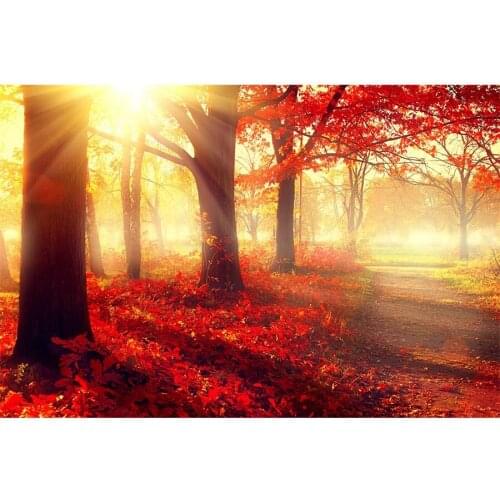 Autumn Forest Red Leaves Tree Morning Photography Backgrounds Vinyl Portrait Photographic Backdrops For Home Decor Photo Studio