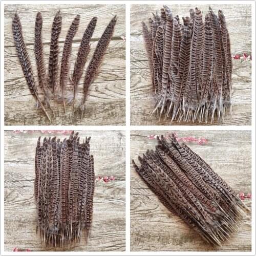 Beautiful Wholesale 10pcs Natural Pheasant Feathers 10-35 cm/4-14 inch DIY Jewelry Wedding decoration