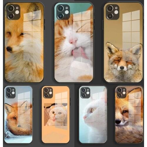Glass Soft Silicone Balck Case Shell for iPhone 12 11 Pro X XS Max XR 8 7 6 Plus SE 2020 S Cover Animal More Cute Fox cat