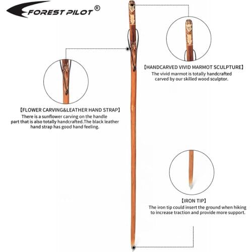 Nordic Walking Sticks FOREST PILOT China