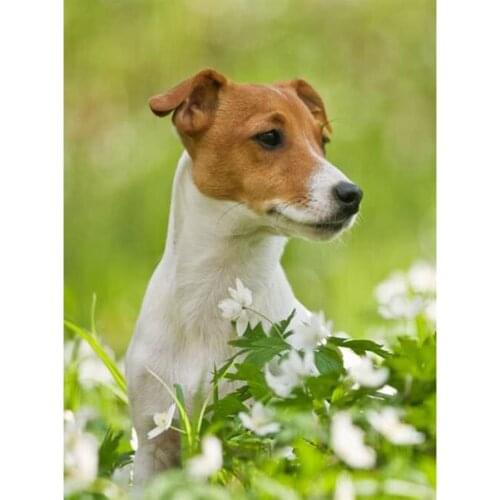 5D,diy,diamond painting,Jack russel Cross Stitch Kits Full Square Round,Diamond Embroidery Pets Pattern Rhinestone Decor JS4399