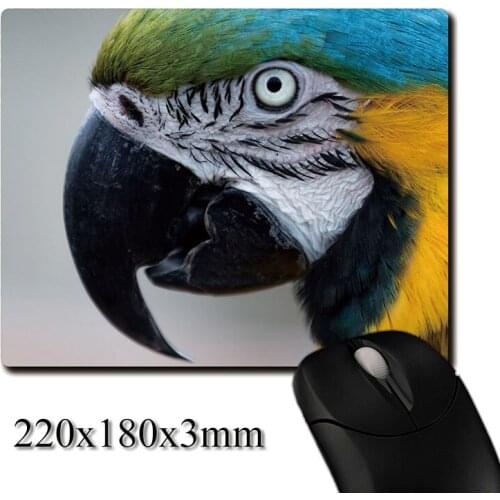 Beautiful blue macaw head closeup printed Heavy weaving anti-slip rubber pad office mouse pad Coaster Party favor 220x180x3mm