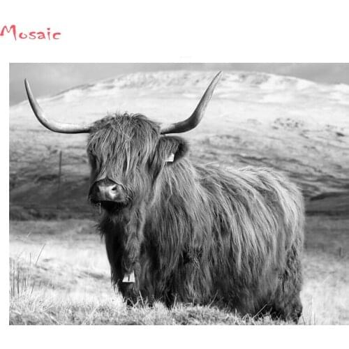 5d cross stitch mosaic painting crystal "Highland Cow"full square/round drill Diamond painting animal diamond Embroidery crafts