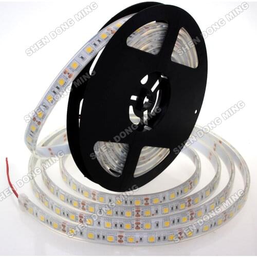 Injection Waterproof IP68 LED Strip 5050 12V 10m 300leds/5M RGB/White Flexible Light led tape ribbon swimming pool aquarium pond