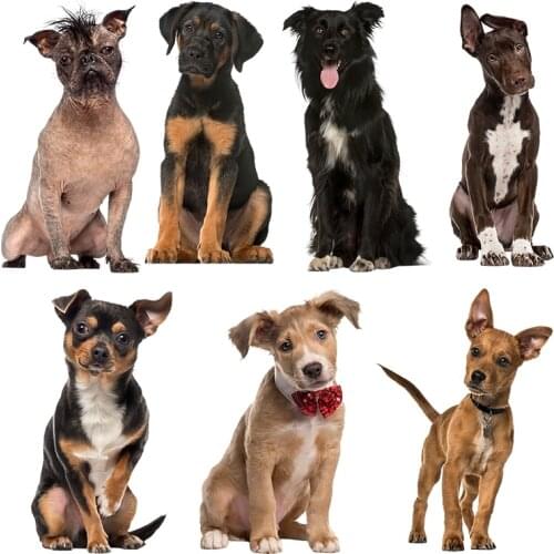 Three Ratels QC388 HD pixel dog sticker Waterproof Vinyl auto Wrap for car hood laptop home decora decals